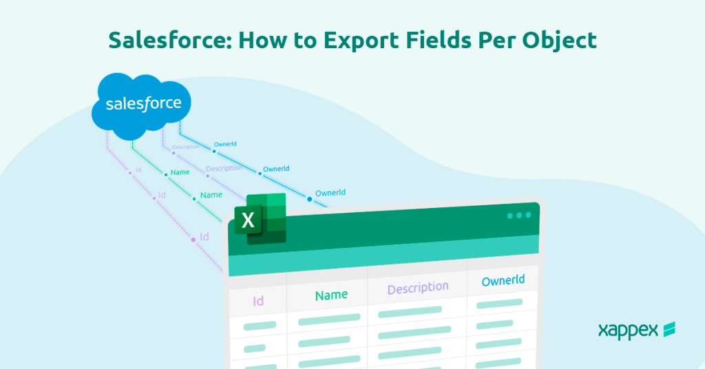 Salesforce: How to export fields per object