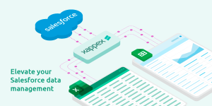 Integrating Salesforce to Excel and Google Sheets