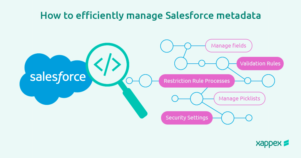 Manage Salesforce Metadata