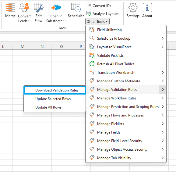 Download validation rules using XL-Connector