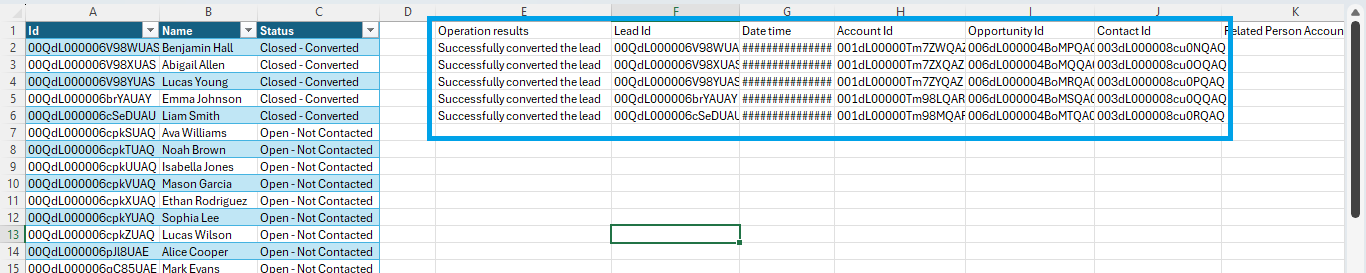 Results for Mass Convert Leads in Salesforce using XL-Connector 365